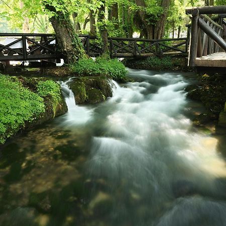 Garni Hotel Vila Drina Perucac Exterior photo