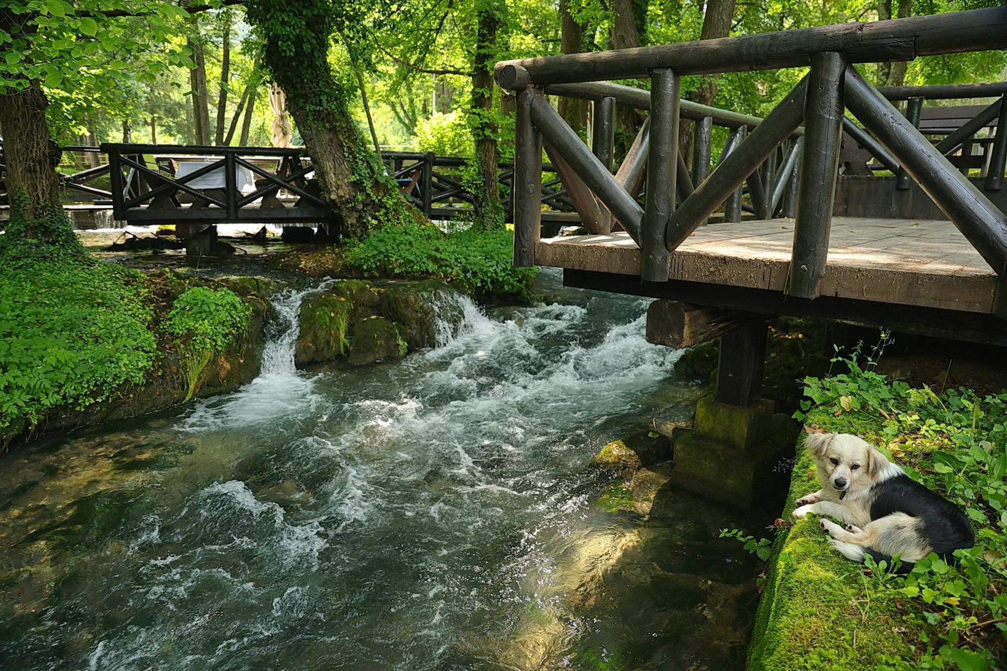 Garni Hotel Vila Drina Perucac Exterior photo