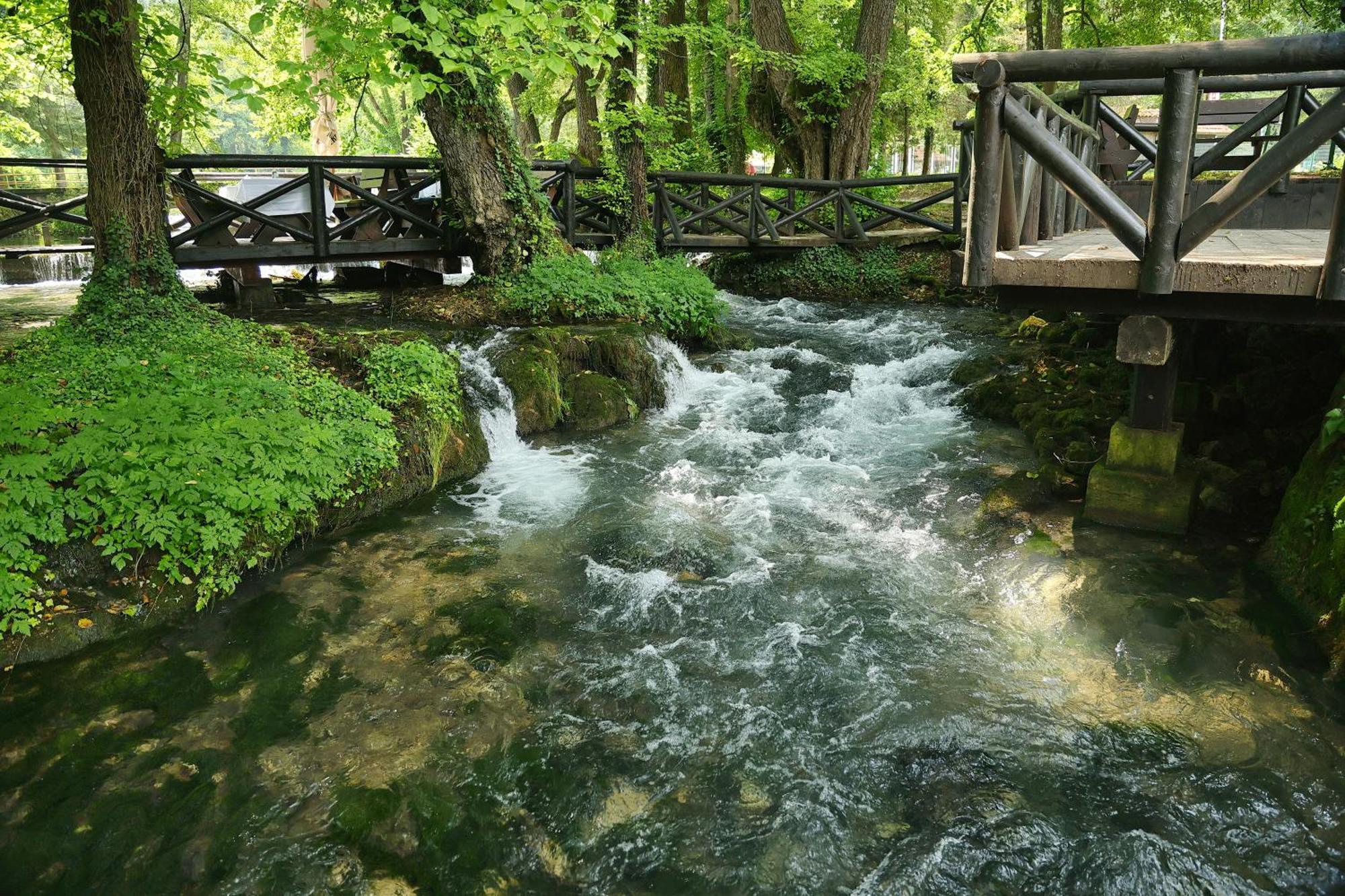 Garni Hotel Vila Drina Perucac Exterior photo