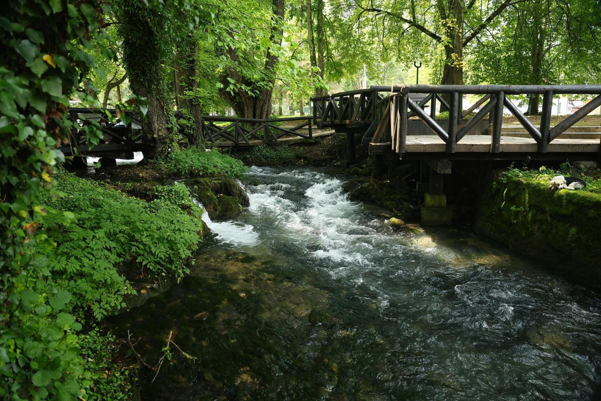 Garni Hotel Vila Drina Perucac Exterior photo