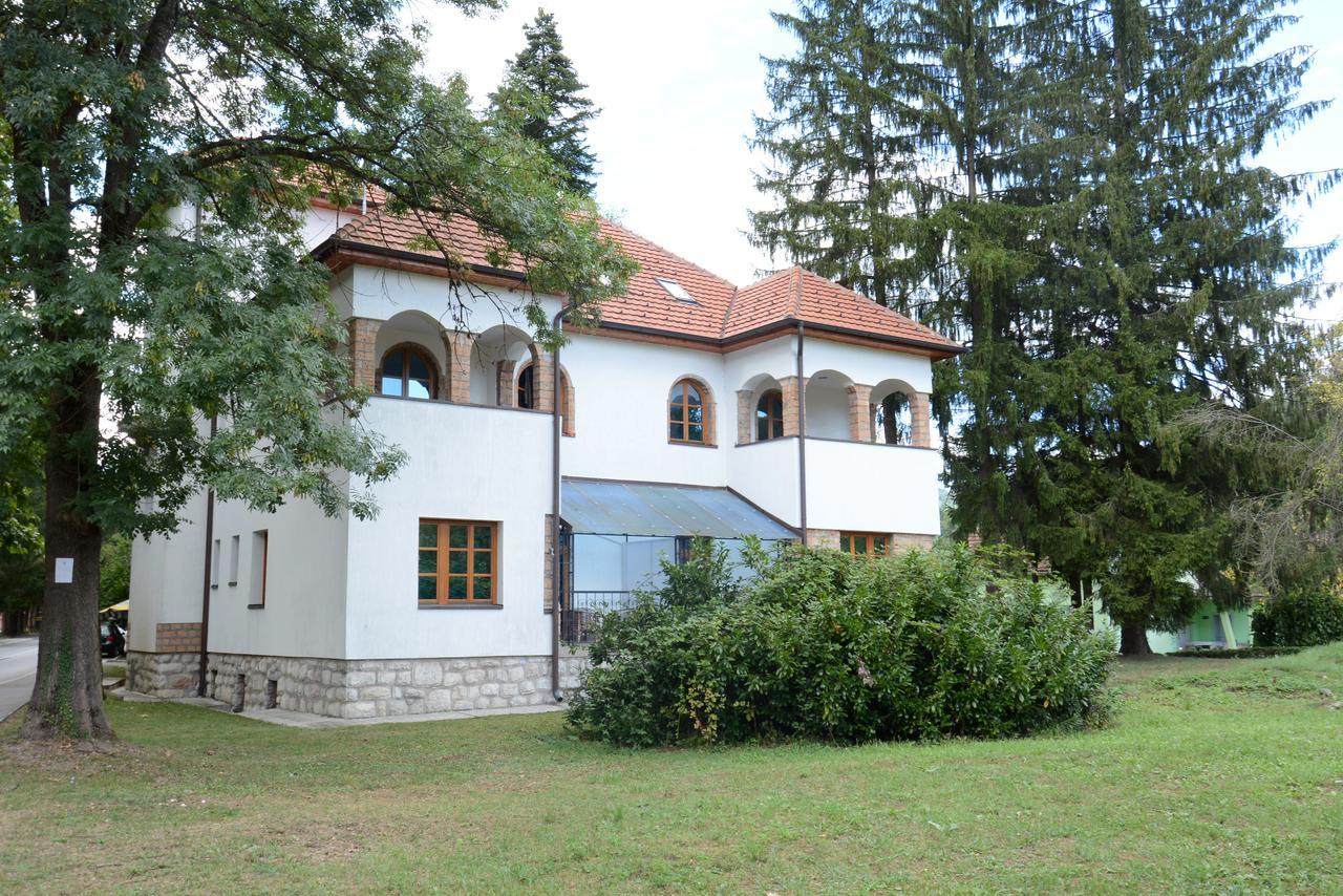 Garni Hotel Vila Drina Perucac Exterior photo