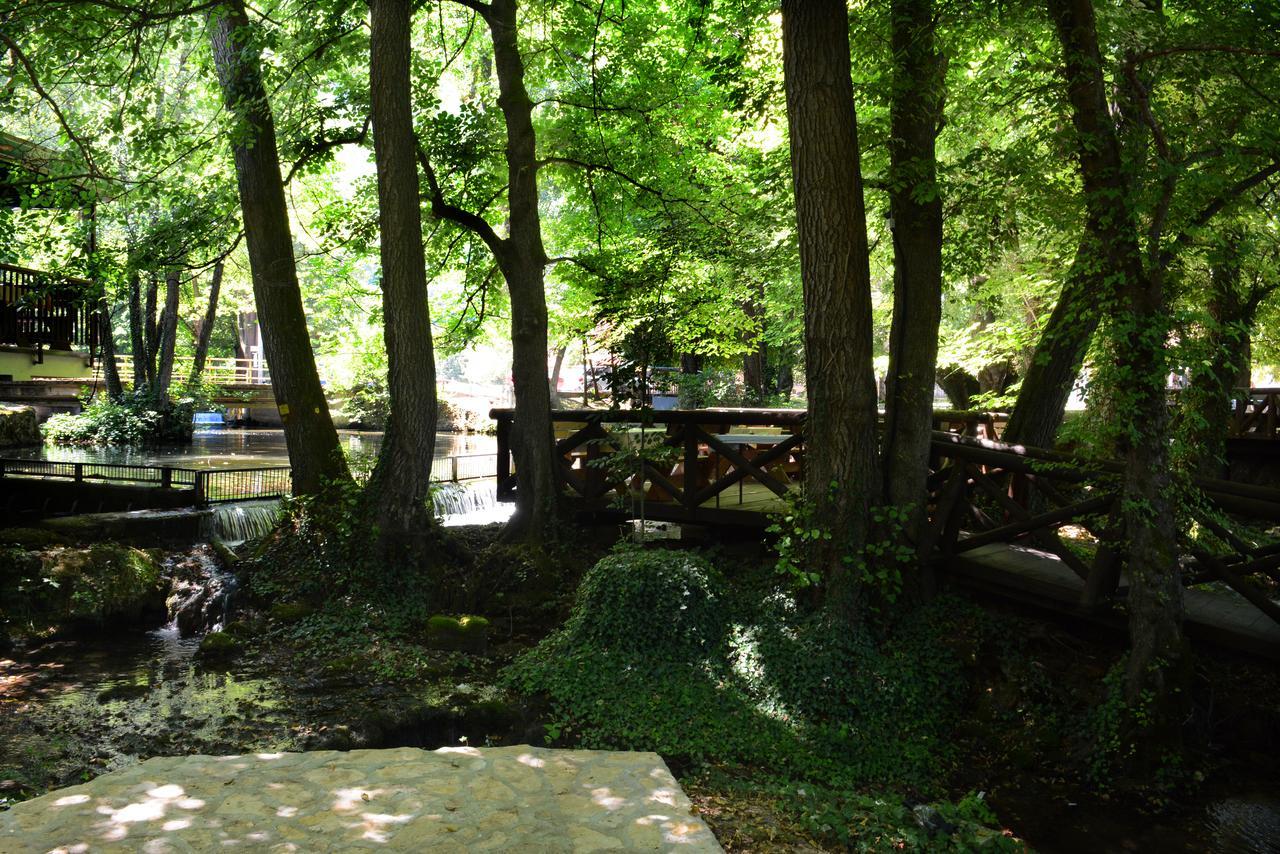 Garni Hotel Vila Drina Perucac Exterior photo