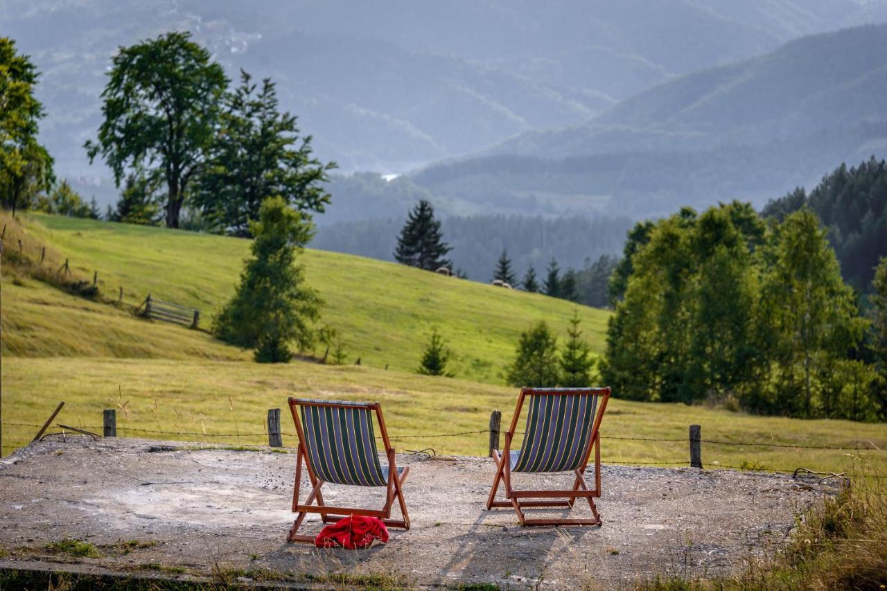 Garni Hotel Vila Drina Perucac Exterior photo